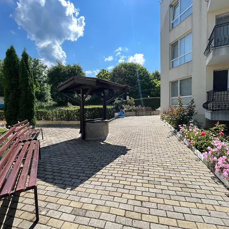 студио галерия - Galeria *